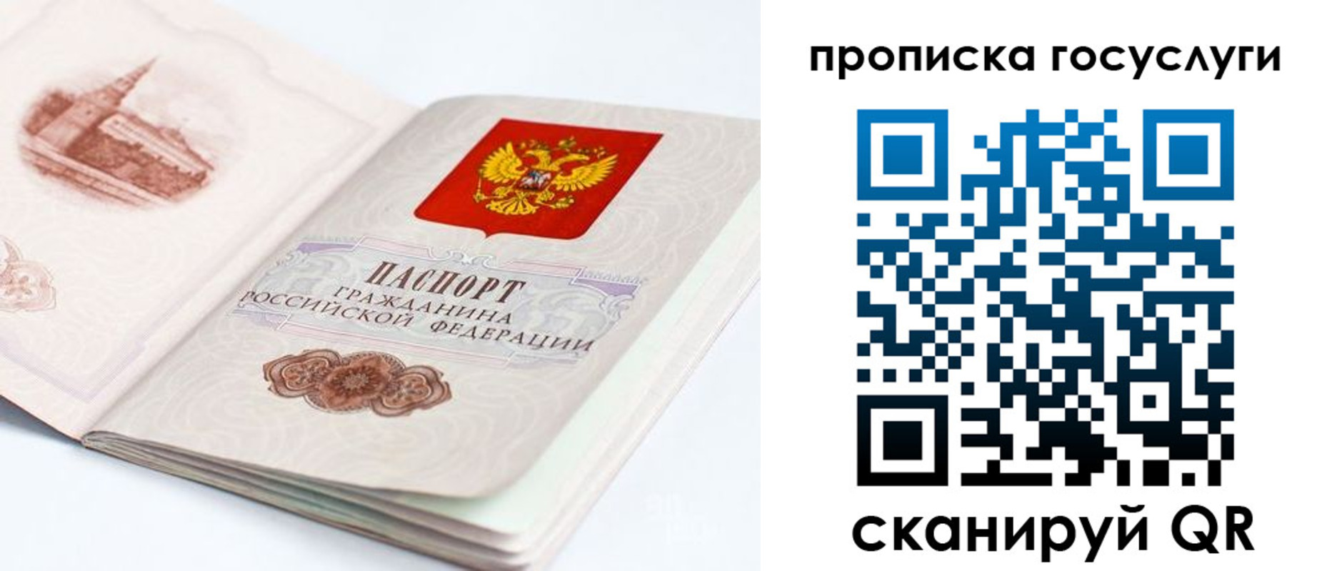 временная регистрация в Козельске